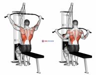 Cable Pulldown (pro lat bar)