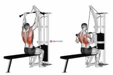 Cable Pulldown