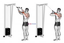 Cable Rear Delt Row (with rope)
