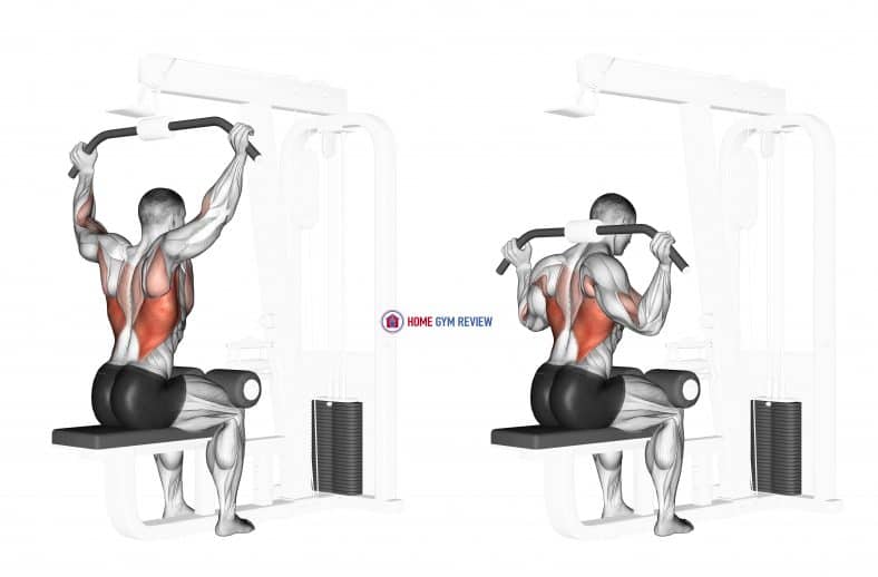 Cable Rear Pulldown - Home Gym Review