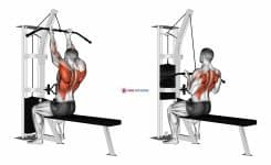 Cable Reverse-grip Straight Back Seated High Row