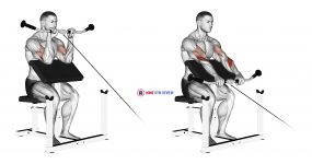 Cable Reverse Preacher Curl