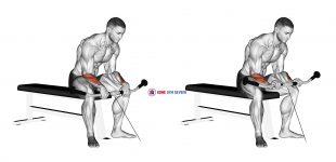 Cable Reverse Wrist Curl