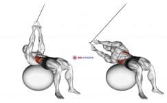 Cable Russian Twists (on stability ball)
