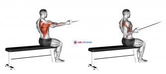 Cable Seated One Arm Alternate Row