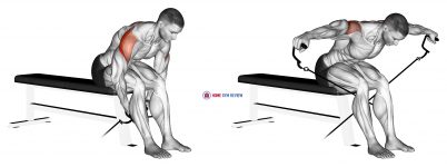 Cable Seated Rear Lateral Raise