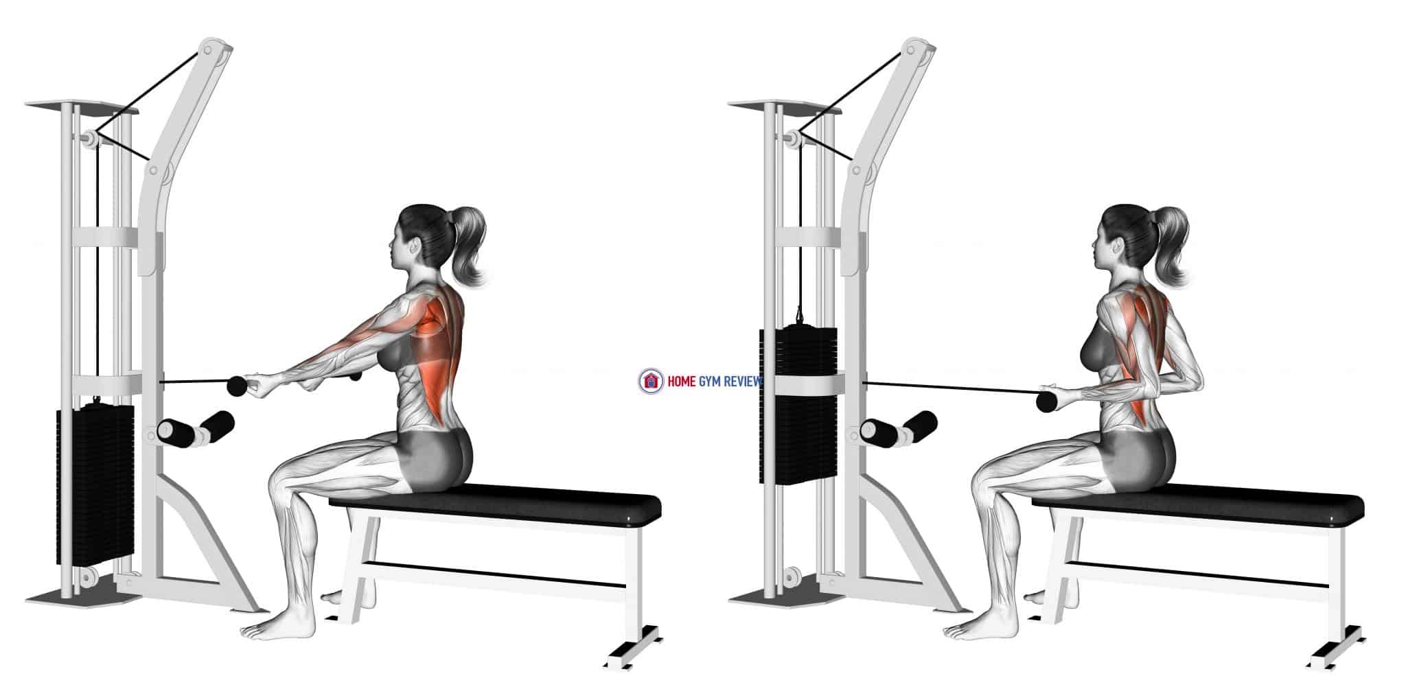 Cable Seated Supinegrip Row Home Gym Review