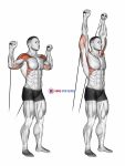 Cable Shoulder Press