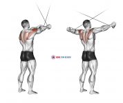 Cable Standing Cross-over High Reverse Fly
