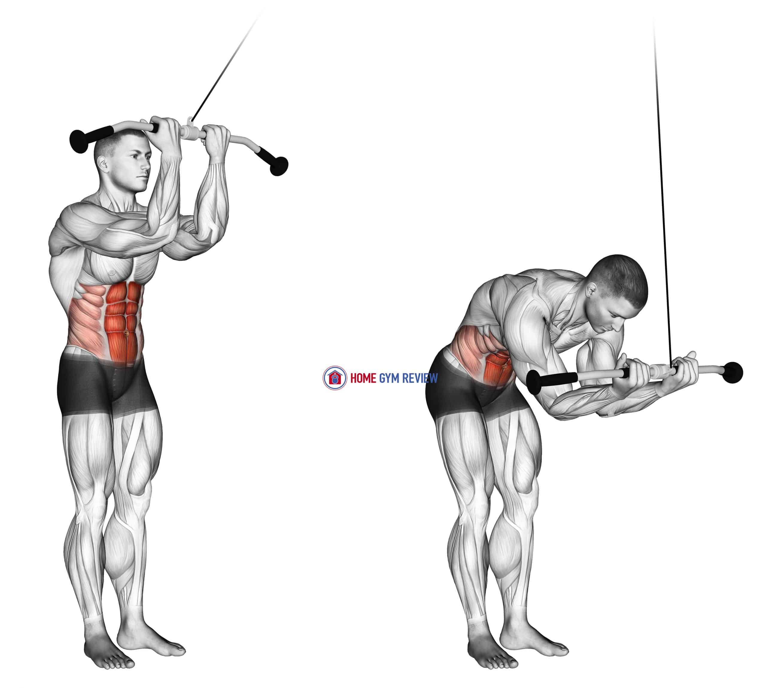 Cable Crunches Vs Standing At Will Bracy Blog