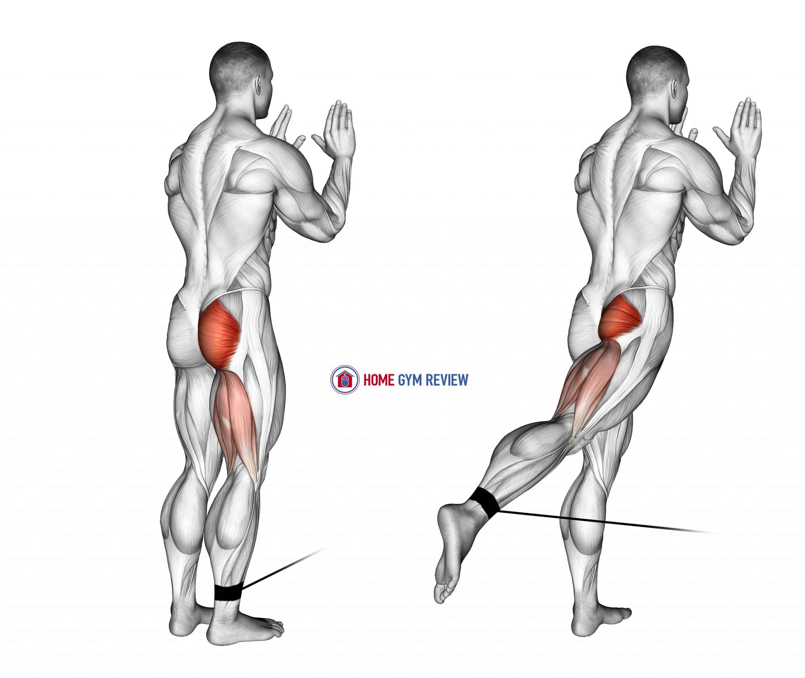 Cable Standing Hip Extension