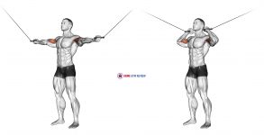 Cable Standing Inner Curl