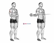 Cable Standing Shoulder External Rotation