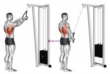 Cable Straight Arm Pulldown (with rope)