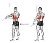 Cable Straight Arm Pulldown