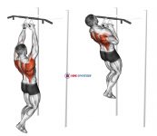 Chin-ups (narrow parallel grip)