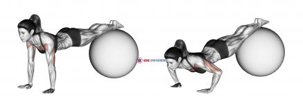 Decline Push-up (on stability ball)