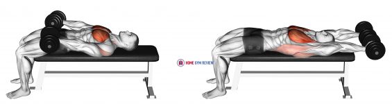 Dumbbell Around Pullover