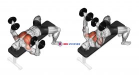 Dumbbell Bench Press