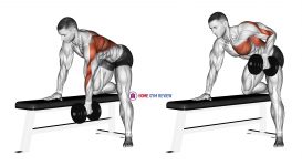 Dumbbell One Arm Bent-over Row