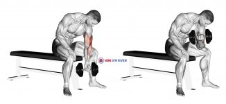 Dumbbell Concentration Curl