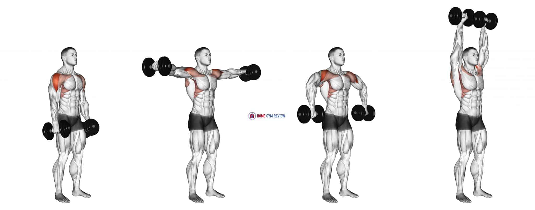 Dumbbell Cuban Press Home Gym Review