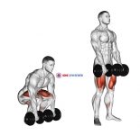 Dumbbell Deadlift