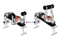 Dumbbell Decline Bench Press