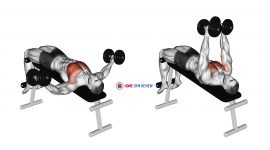 Dumbbell Decline Fly