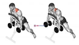 Dumbbell Decline Shrug