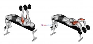 Dumbbell Decline Triceps Extension