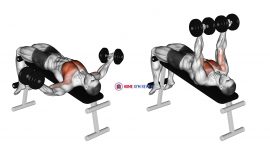 Dumbbell Decline Twist Fly