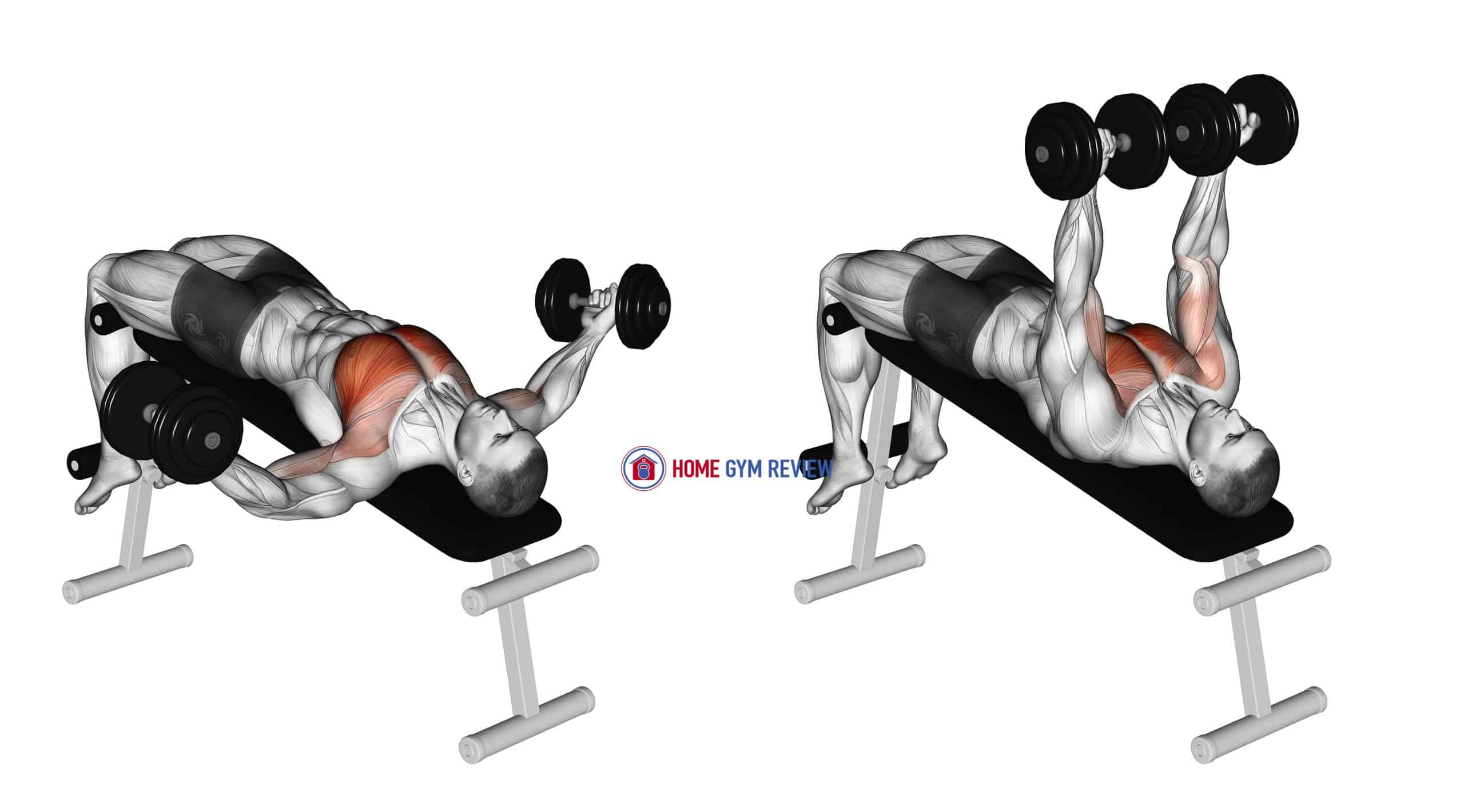 Dumbbell Decline Twist Fly