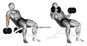 Dumbbell Incline Biceps Curl
