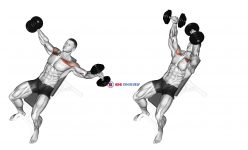 Dumbbell Incline Breeding