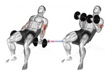Dumbbell Incline Curl (version 2)