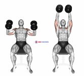 Dumbbell Incline Hammer Press
