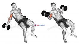 Dumbbell Incline Inner Biceps Curl