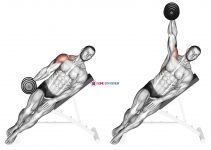 Dumbbell Incline One Arm Lateral Raise