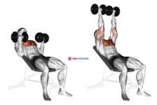 Dumbbell Incline Palm-in Press