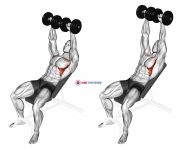 Dumbbell Incline Shoulder Raise