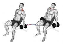 Dumbbell Incline Shrug