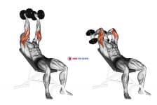 Dumbbell Incline Triceps Extension