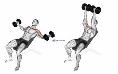 Dumbbell Incline Twisted Flyes