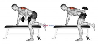 Dumbbell Kickback
