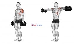 Dumbbell Lateral Raise