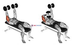 Dumbbell Lying Extension (across face)