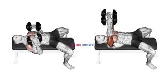 Dumbbell Lying Elbow Press