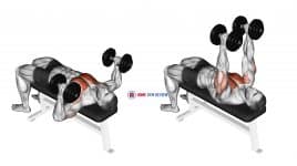 Dumbbell Lying Hammer Press