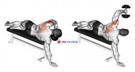Dumbbell Lying One Arm Deltoid Rear